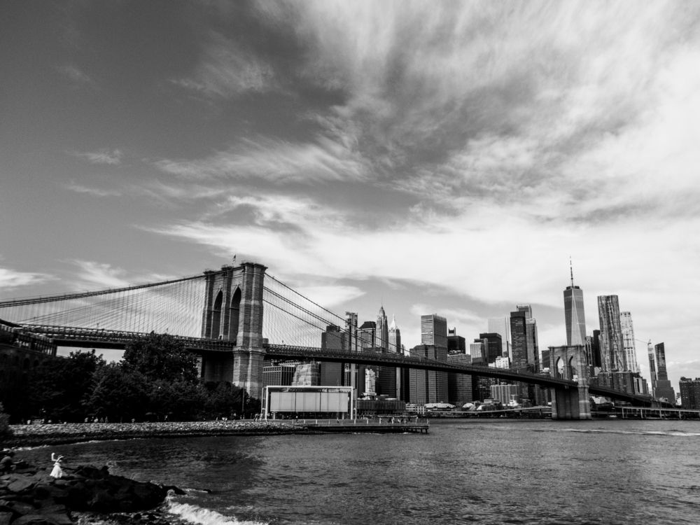 NY views (10)