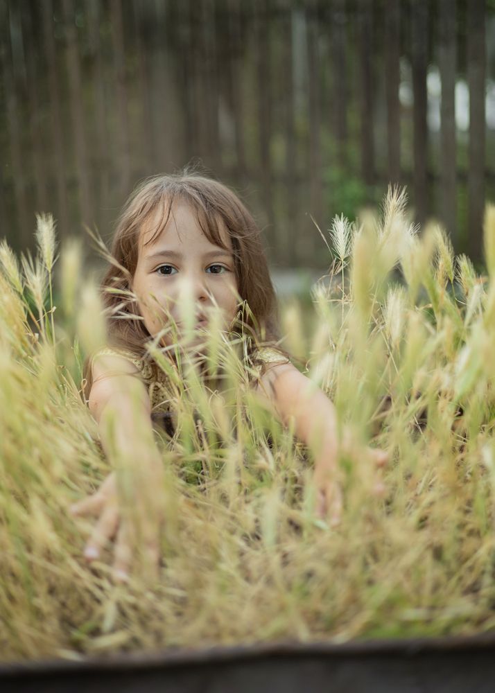 Photo #13302704 (5)