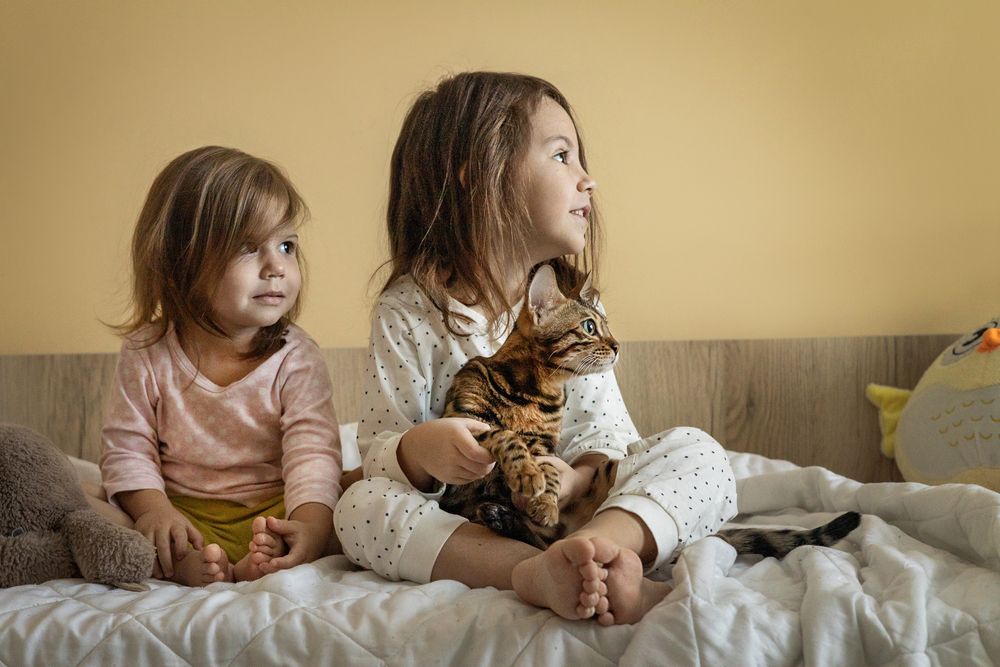 Photo #13302849 (8)