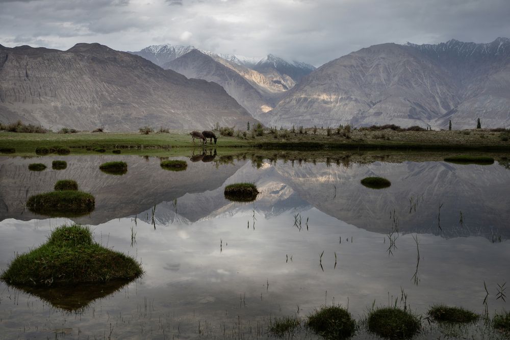 Ladakh (10)
