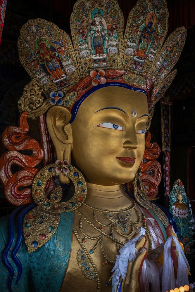 Ladakh (6)