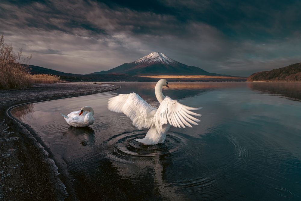 Mt Fuji Chase (3)