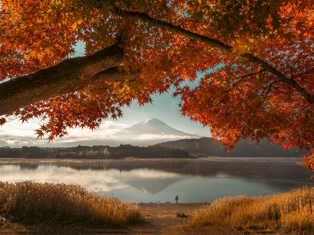 Mt Fuji Chase (7)