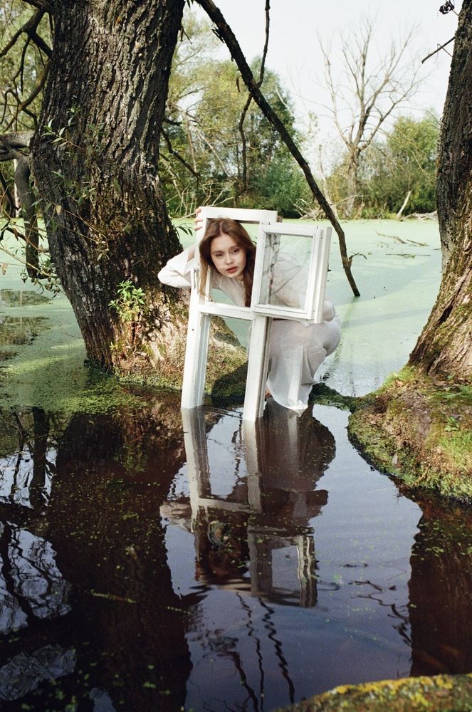 Photo #13312679 (8)