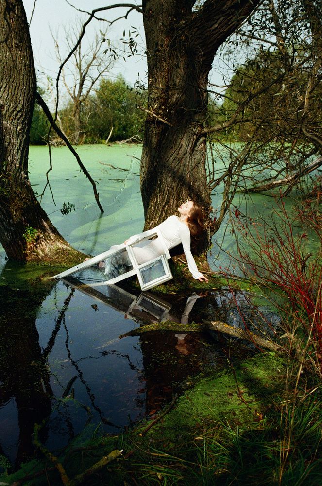 Photo #13312679 (10)