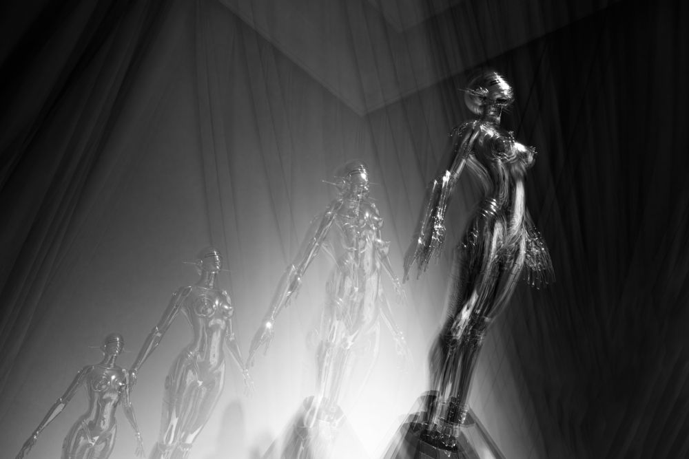 Photo #13316772 (6)