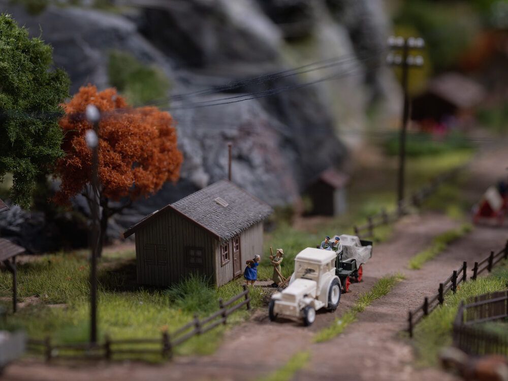 Photo #13316807 (6)