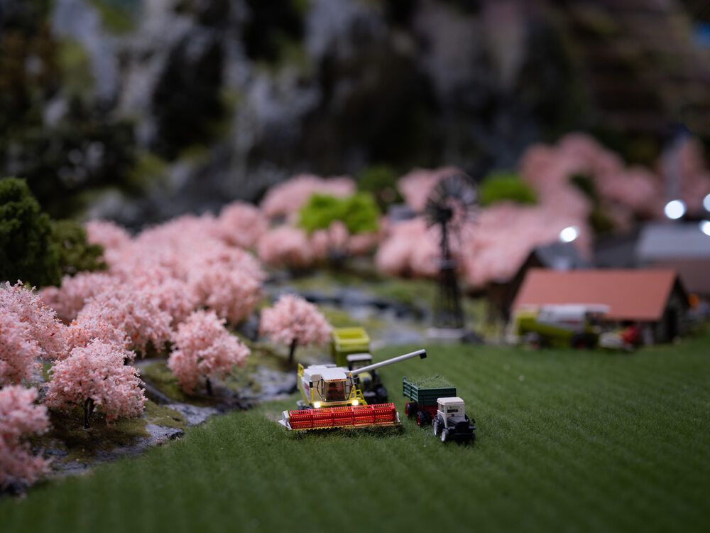 Photo #13316807 (7)