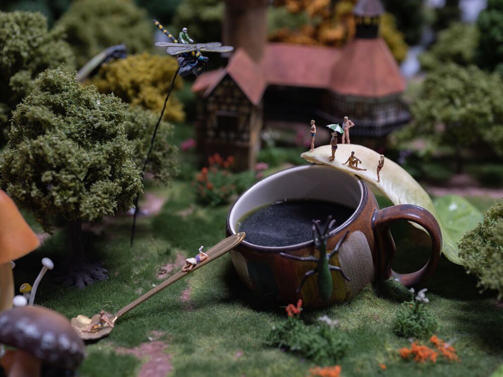 Photo #13316807 (9)