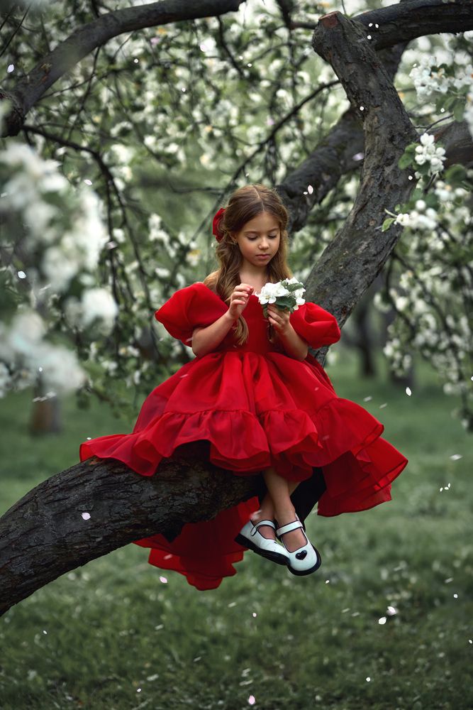 Photo #13317261 (4)
