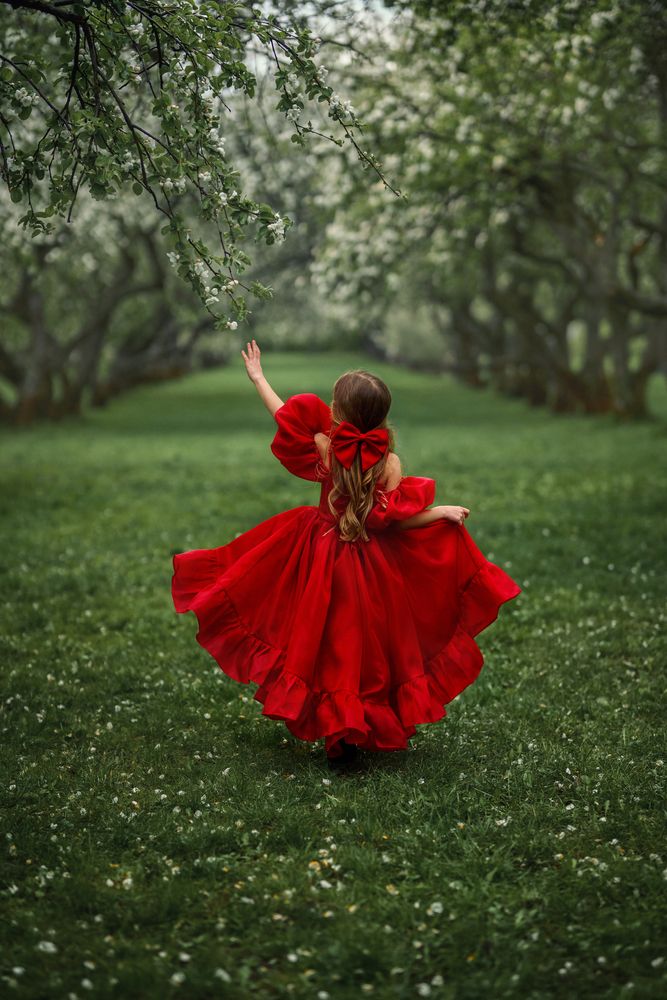 Photo #13317261 (5)