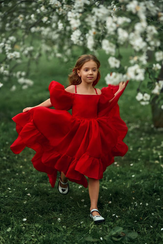 Photo #13317261 (8)