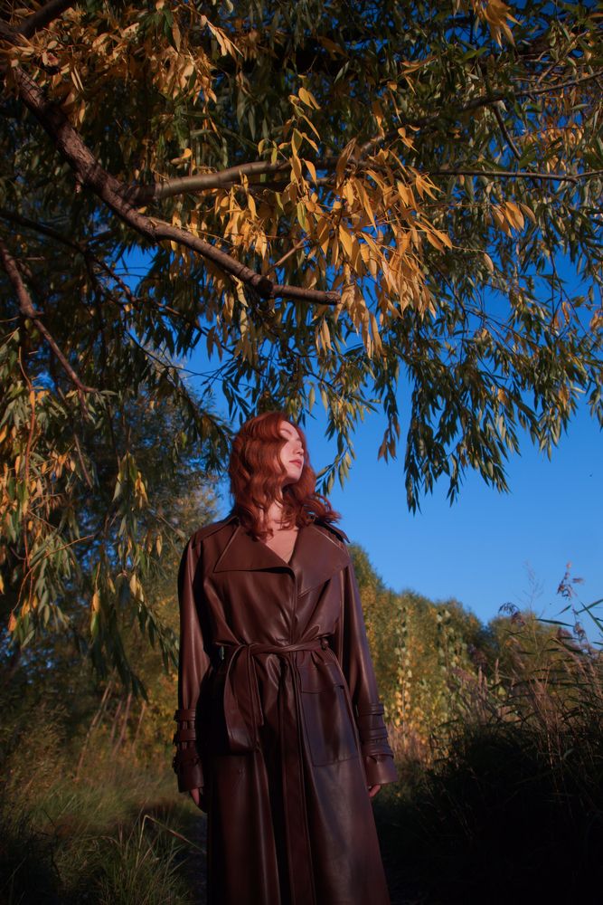Photo #13317844 (7)