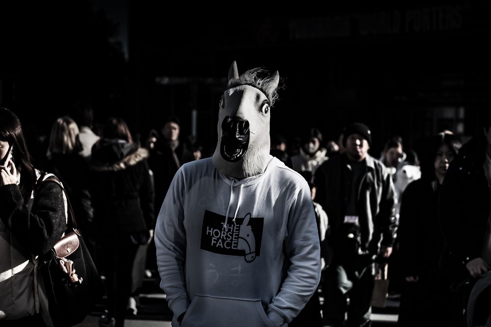 Like a horse (7)