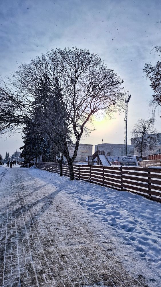 Photo #13321631 (10)