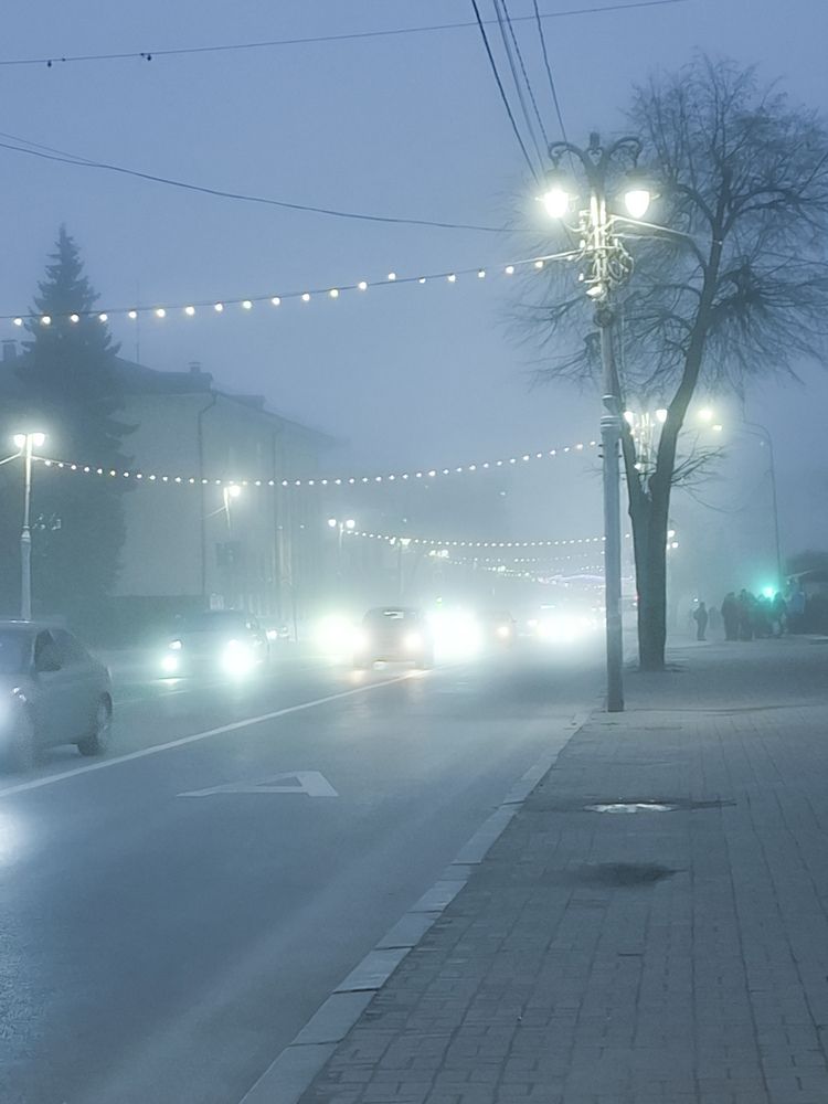 Photo #13321640 (3)