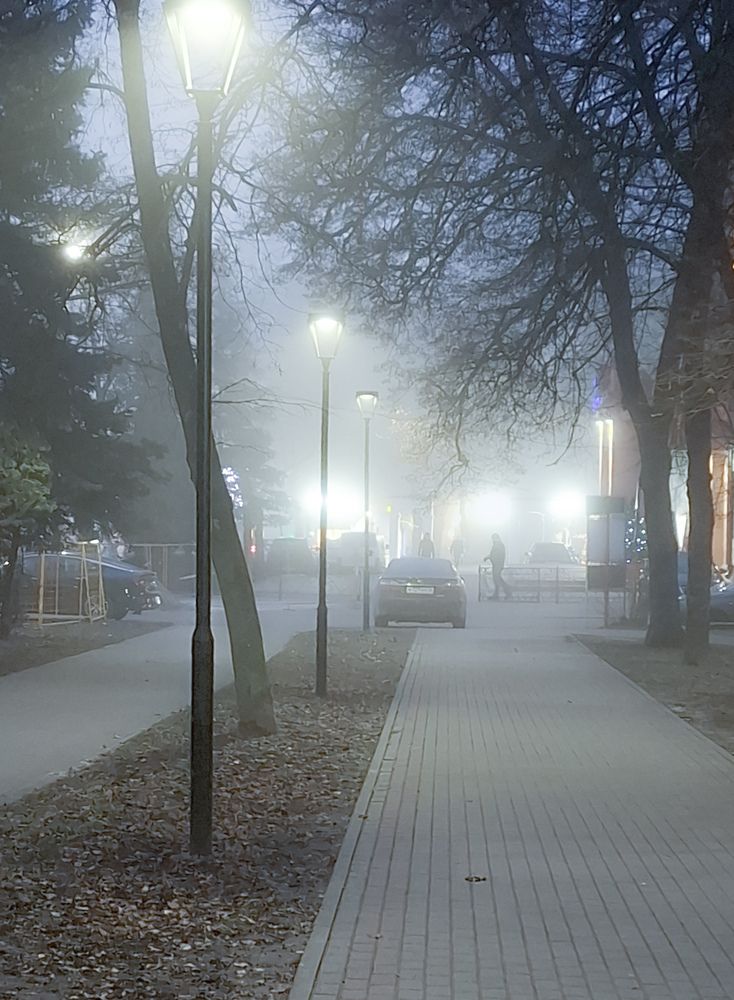 Photo #13321640 (10)
