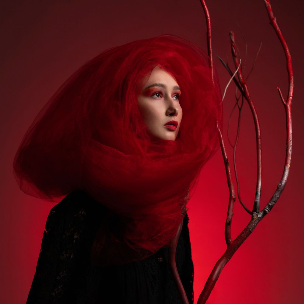 Lady in red (3)
