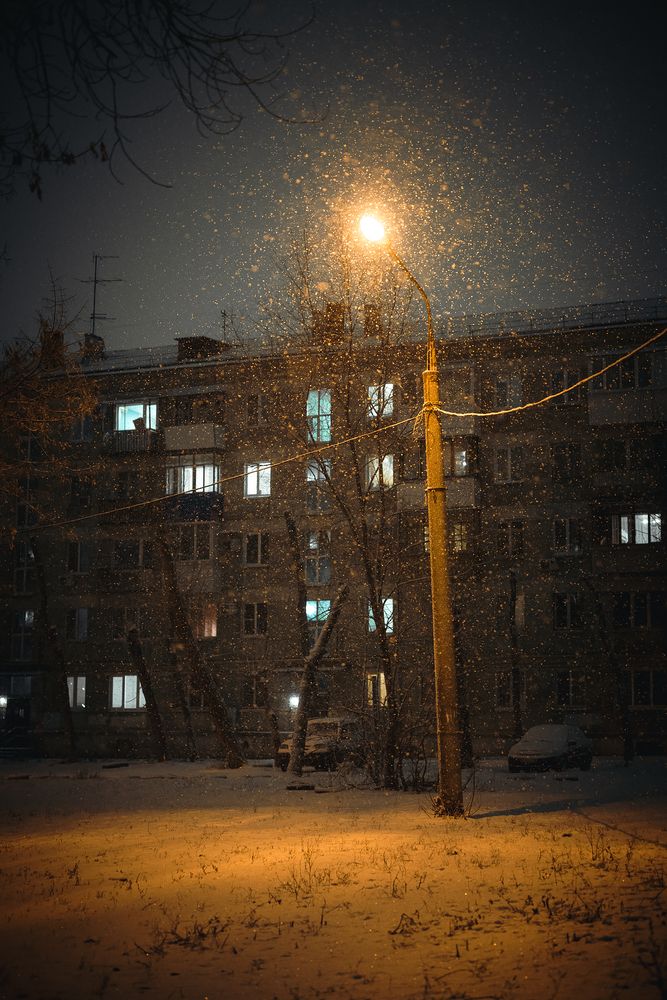 Photo #13332962 (3)