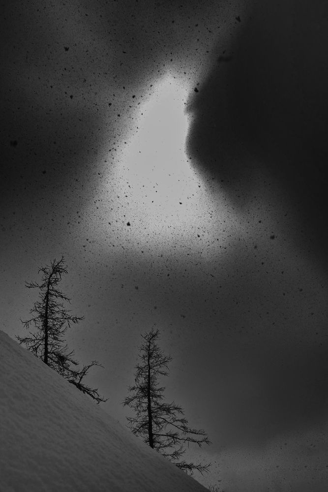 Диалог (11)