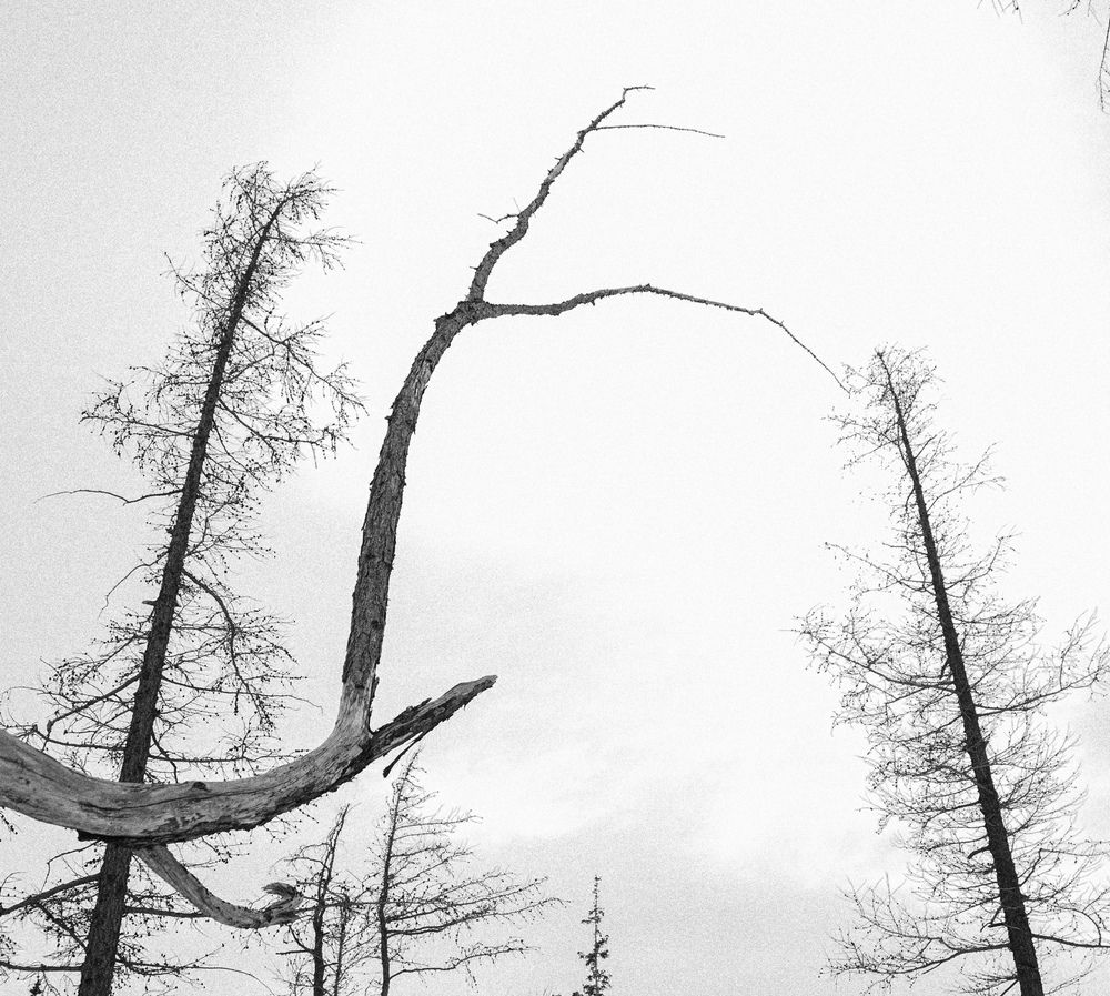 Диалог (6)