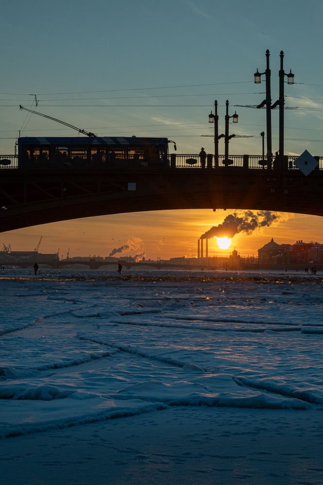 Photo #13340640 (4)