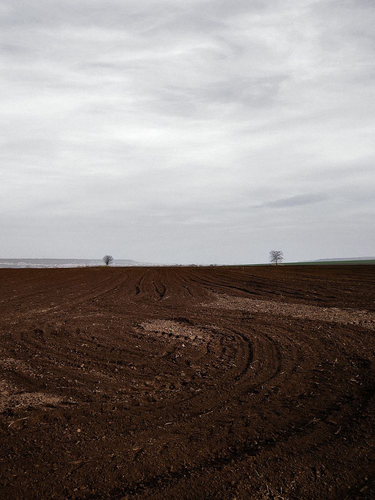 The field (3)