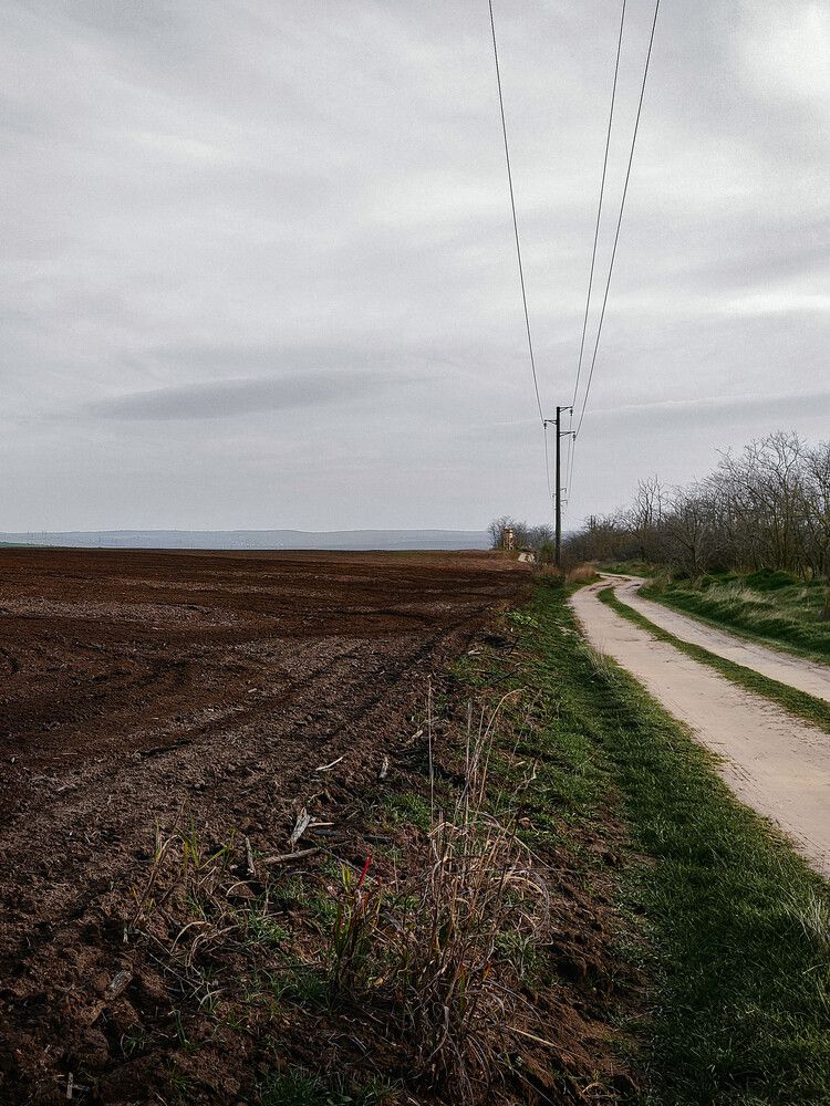 The field (5)
