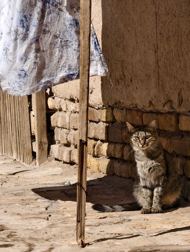 Life in Khiva (3)