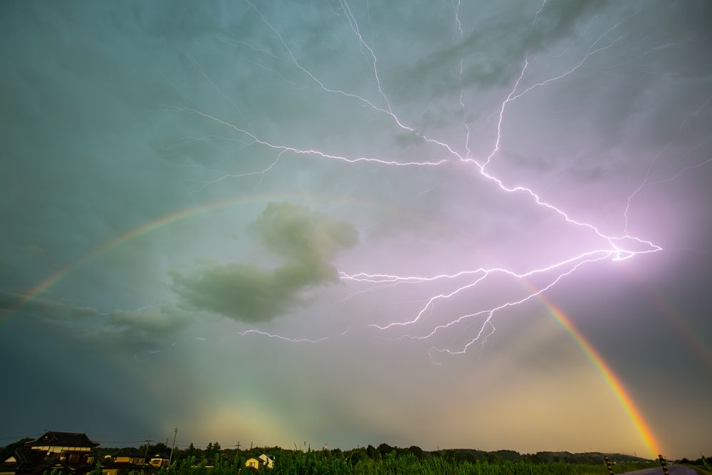 Electric Atmosphere (6)