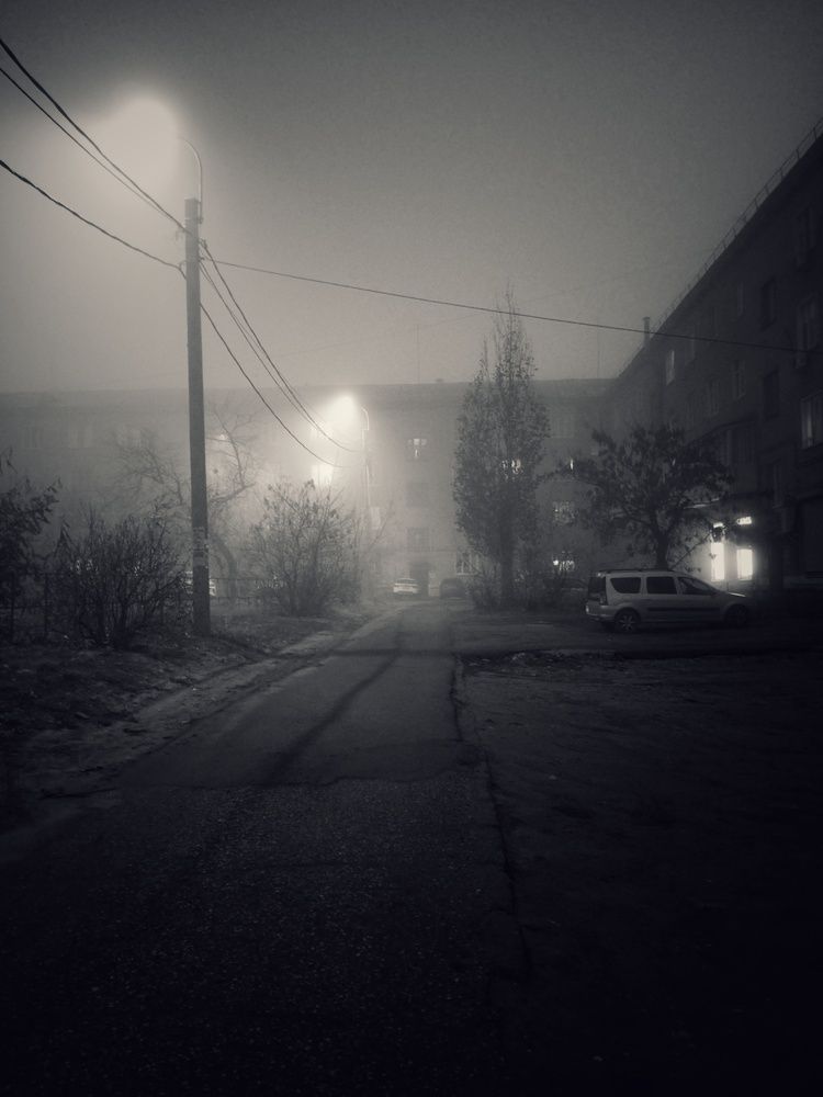 Туман (4)