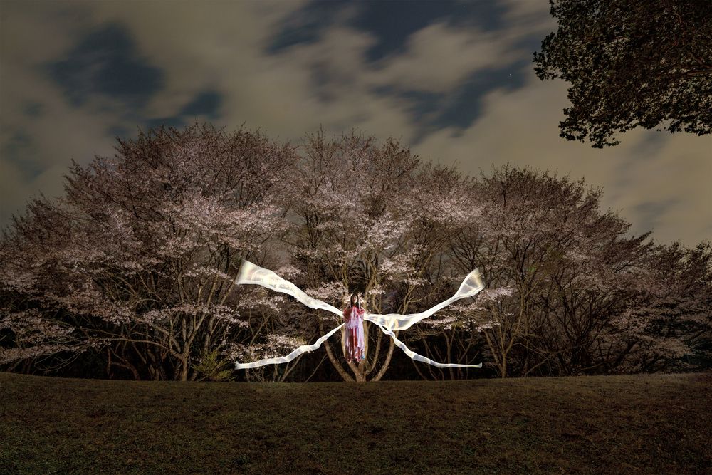 Light Painting Landscape (7)
