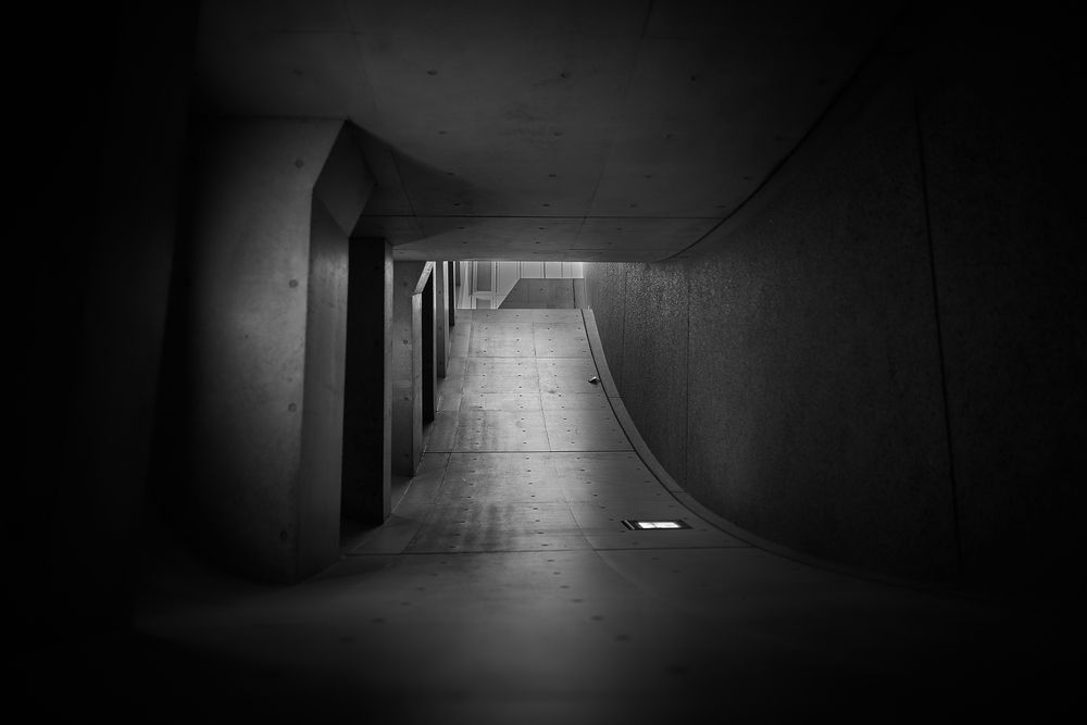 Observer (8)