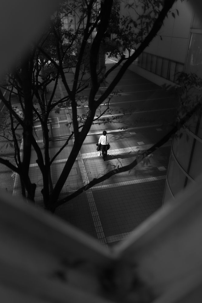 Observer (4)