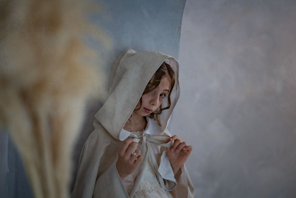 The Little Pilgrim (6)