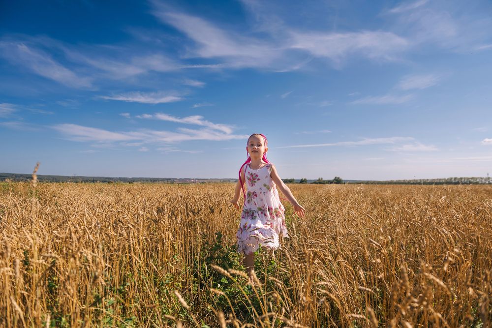 В золотых полях (3)