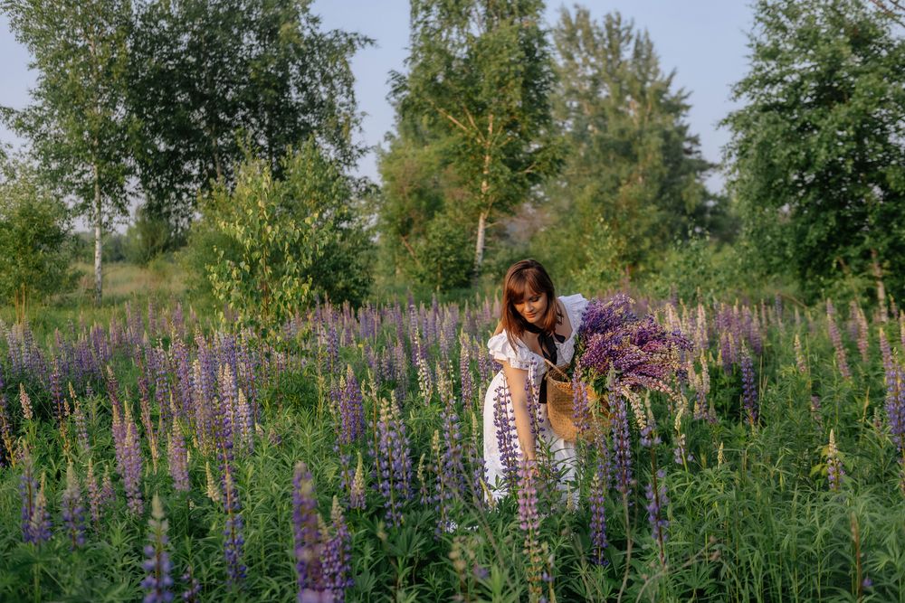 В люпинах (11)