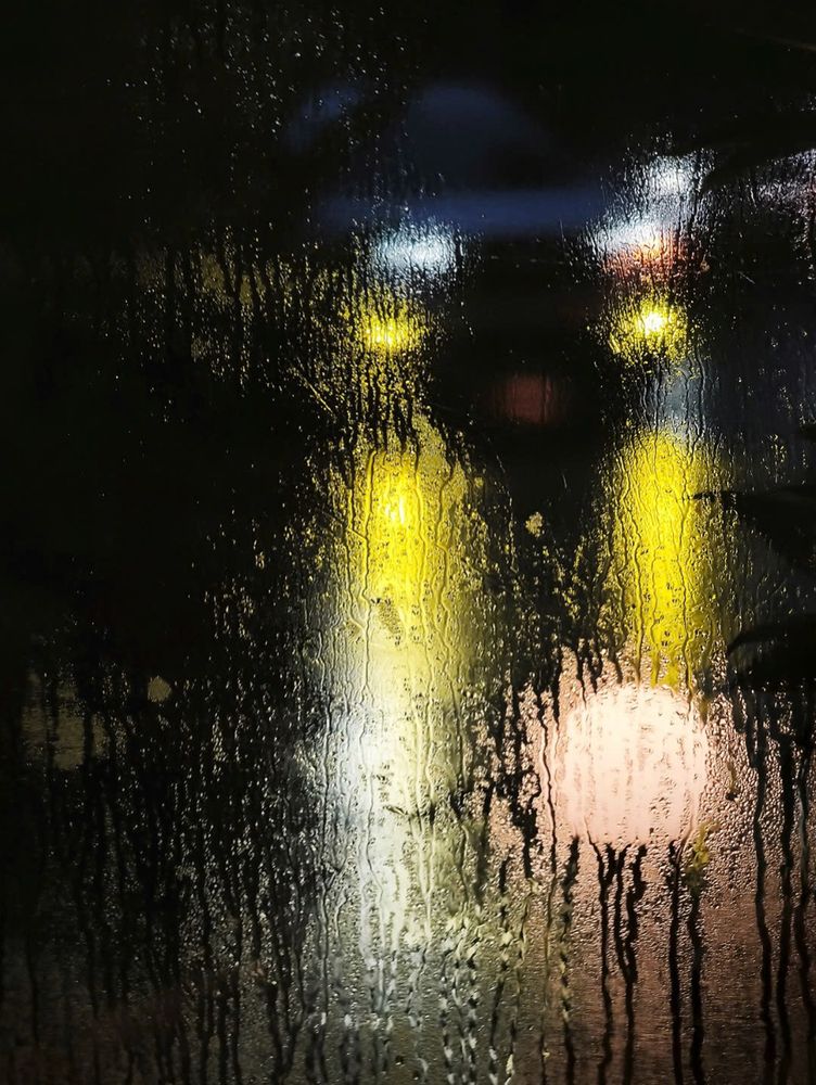 Life reflects (4)