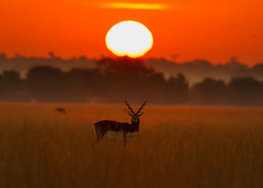 Sunset magic (4)