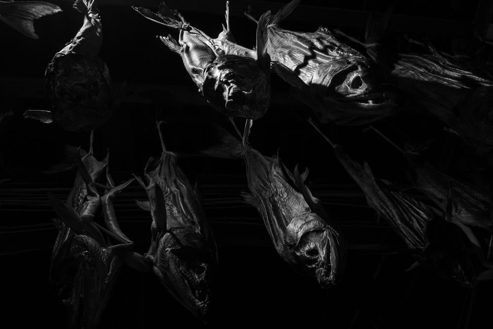 Dried salmon (4)