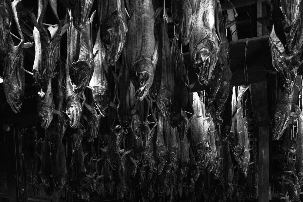 Dried salmon (6)
