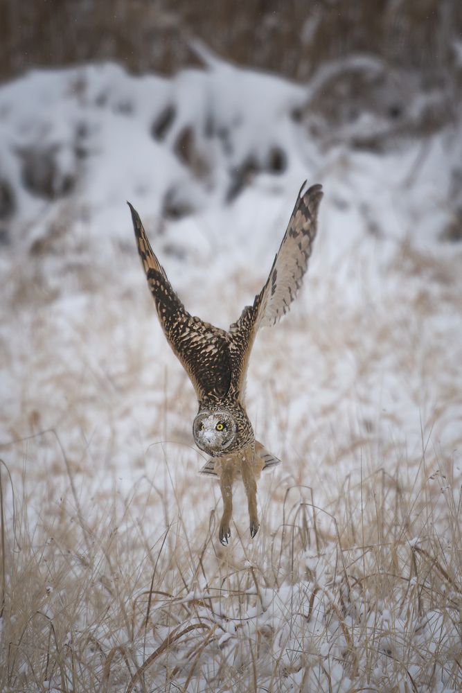 Photo #13375840 (2)