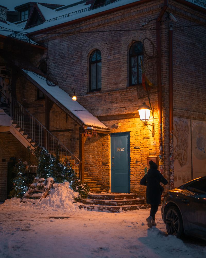 Republic in Winter (5)