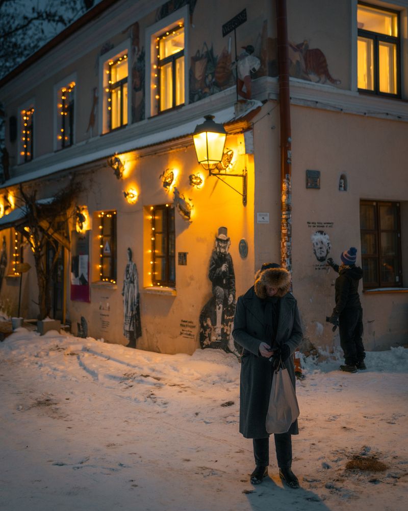 Republic in Winter (4)