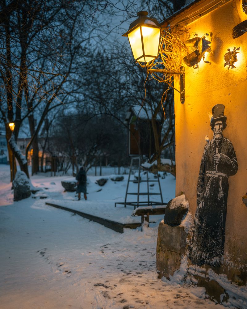 Republic in Winter (3)