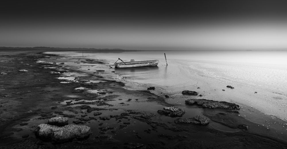 Salton Sea (5)