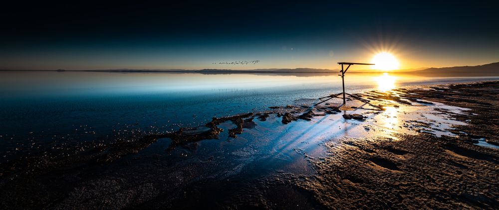 Salton Sea (6)