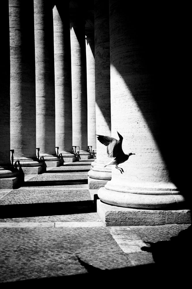Light Play (6)