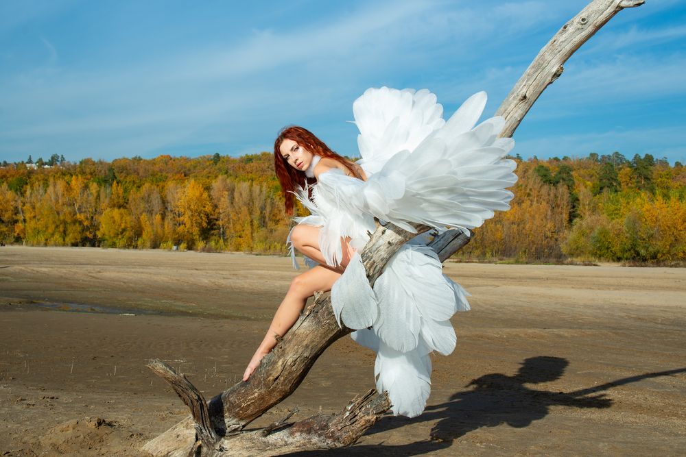 Свет и тьма (5)