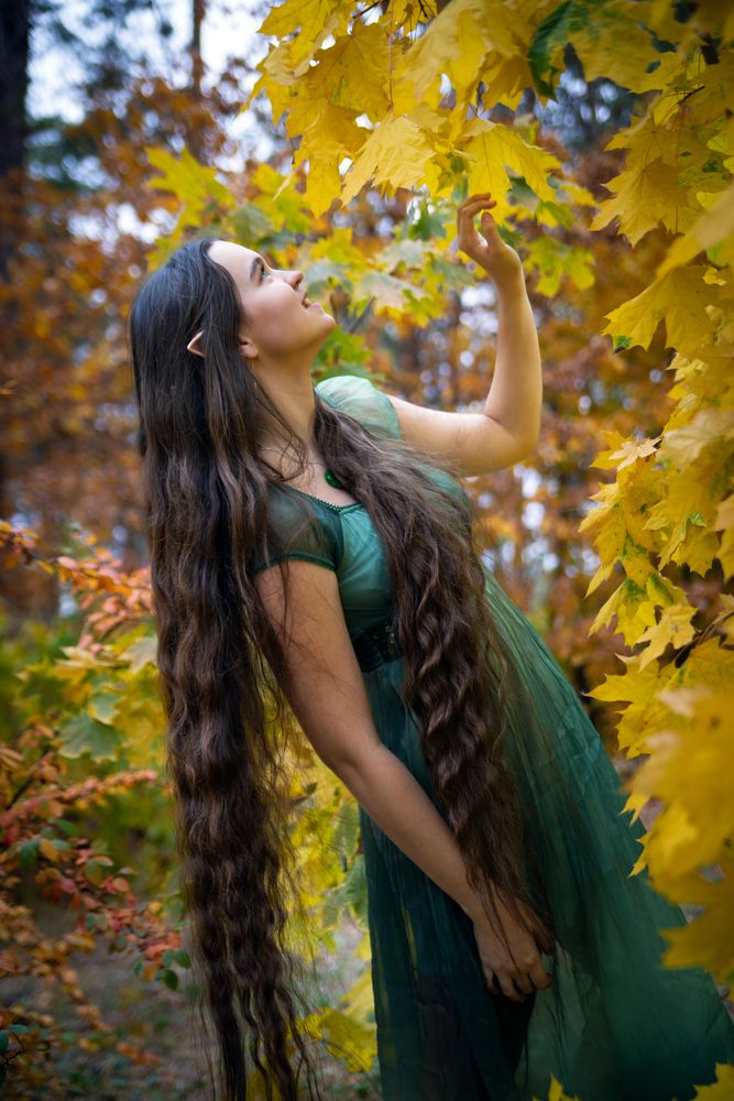 Photo #13384285 (5)